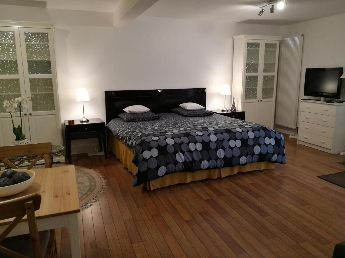 بري سور مارن Le Studio Chez Marile المظهر الخارجي الصورة