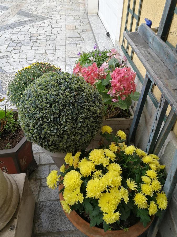 بري سور مارن Le Studio Chez Marile المظهر الخارجي الصورة