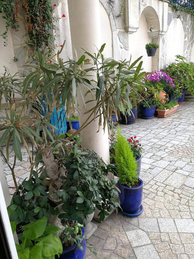 بري سور مارن Le Studio Chez Marile المظهر الخارجي الصورة